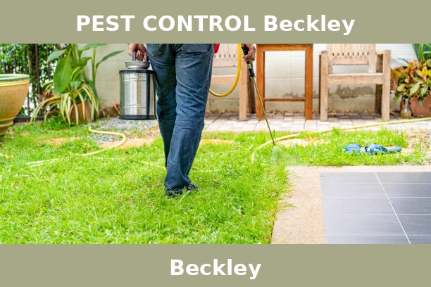 PEST CONTROL Beckley